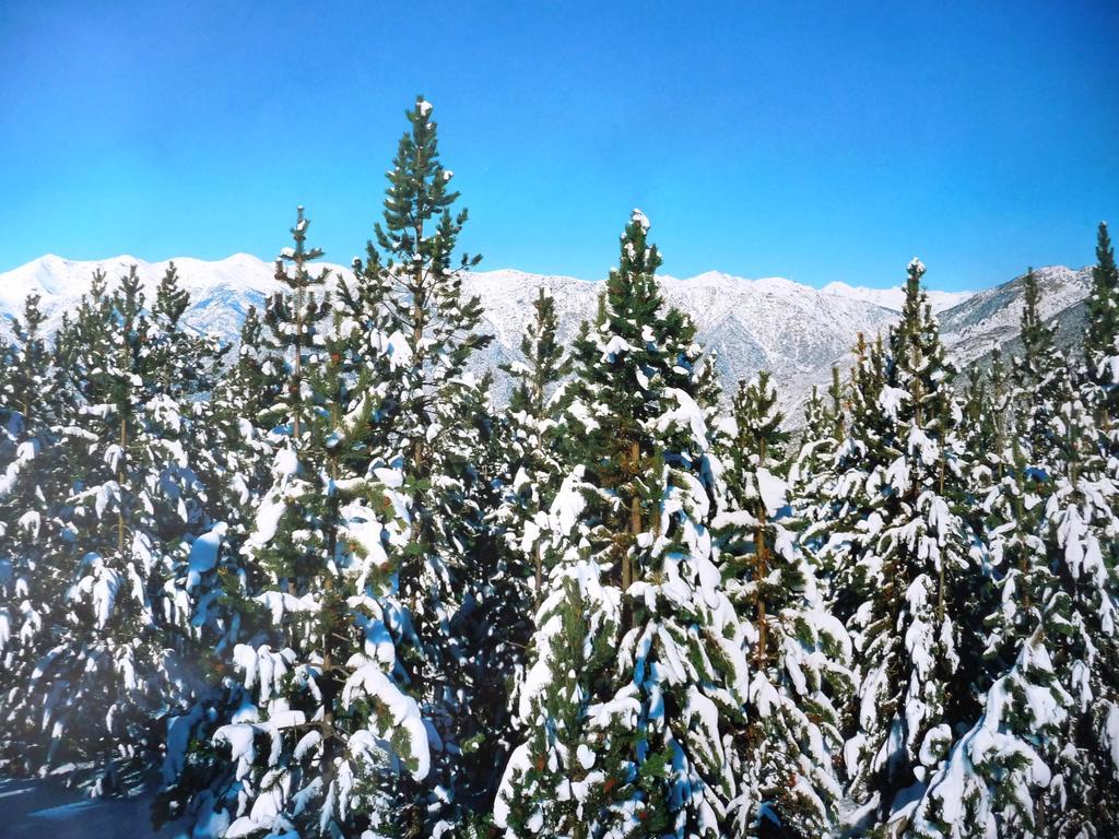Easyloc Andorra Appartements, Studios - Pieds De Pistes パス・デ・ラ・カサ エクステリア 写真